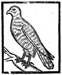20191-20.jpg