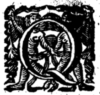 20236-170.jpg