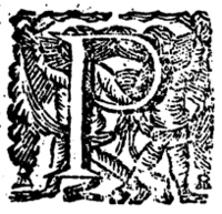 20241-160.jpg