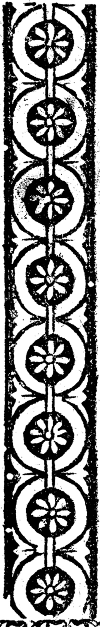 20265-40.jpg