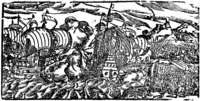 20271-10.jpg
