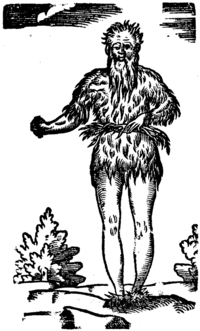 20274-20.jpg