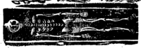 20658-60.jpg
