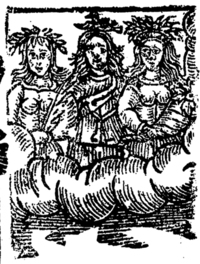 20658-70.jpg