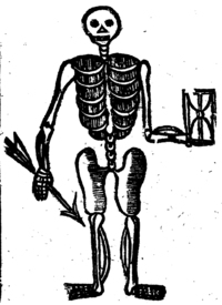 20667-20.jpg