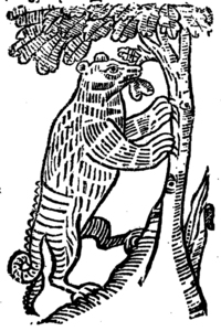 20674-30.jpg