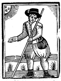 20737-20.jpg
