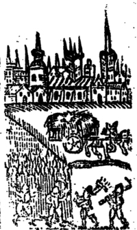 20756-20.jpg