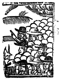 20756-70.jpg