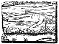 20764-50.jpg