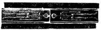 20769-20.jpg