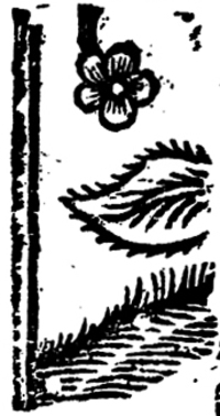 20830-30.jpg