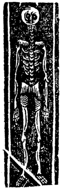 20841-30.jpg