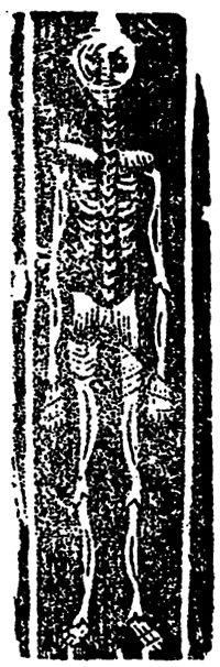 20841-40.jpg