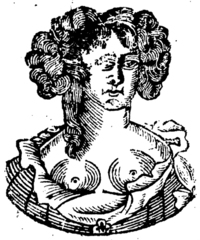 20941-20.jpg