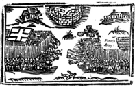 20958-20.jpg