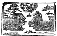 20974-10.jpg