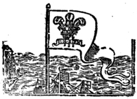 20978-20.jpg