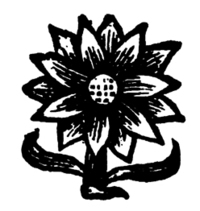 21113-40.jpg