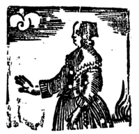 21157-40.jpg