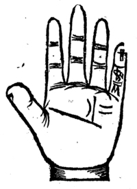 21164-20.jpg