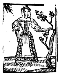 21180-20.jpg