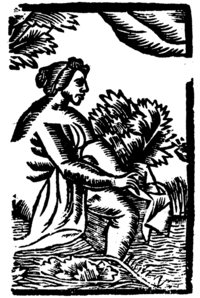 21200-20.jpg