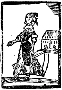 21243-50.jpg