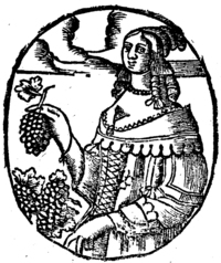 21248-20.jpg