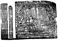 21309-20.jpg