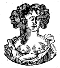 21337-20.jpg