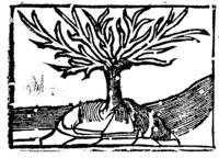 21357-10.jpg