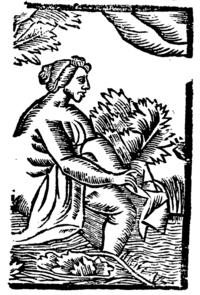 21357-40.jpg