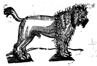 21361-20.jpg
