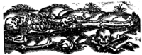 21362-20.jpg