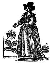 21376-20.jpg