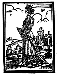 21381-20.jpg