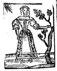 21381-30.jpg