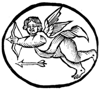 21389-20.jpg