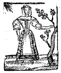 21392-20.jpg