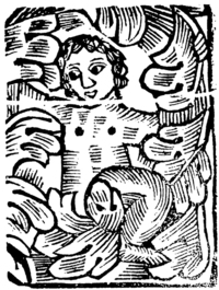 21397-50.jpg
