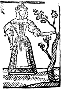 21684-10.jpg
