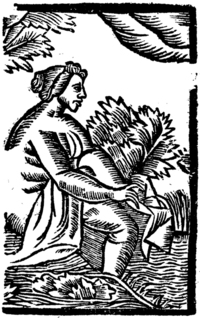 21687-20.jpg