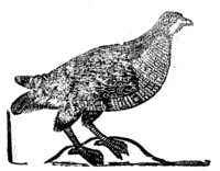 21707-30.jpg