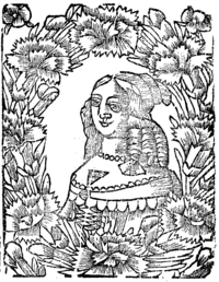 21713-20.jpg