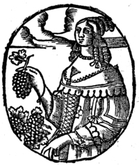 21716-20.jpg