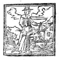 21717-10.jpg