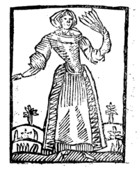21717-20.jpg