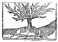 21731-40.jpg