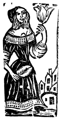 21752-10.jpg